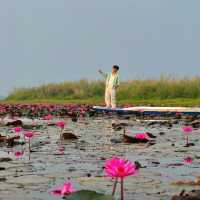 ทะเลบัวแดง กุมภวาปี ใน Unseen Thailand 🫶🏻🪷