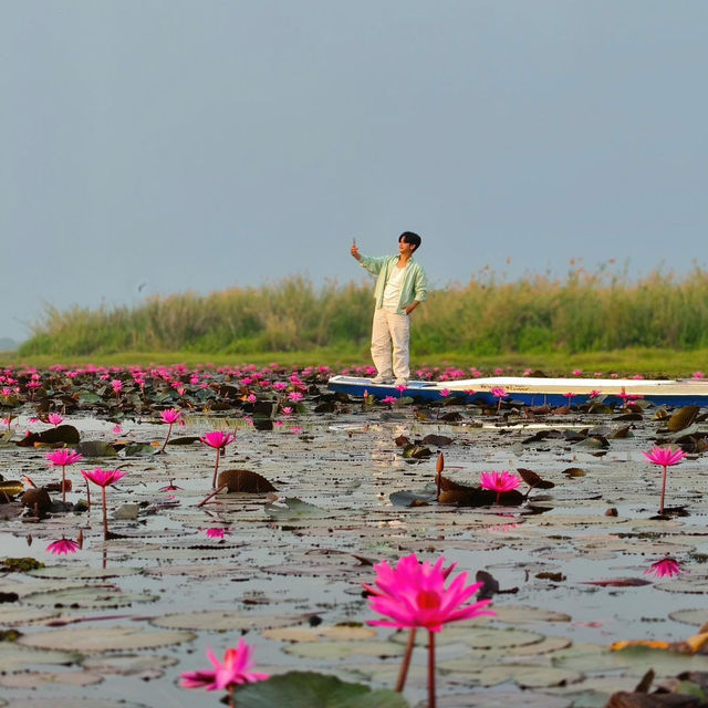 ทะเลบัวแดง กุมภวาปี ใน Unseen Thailand 🫶🏻🪷