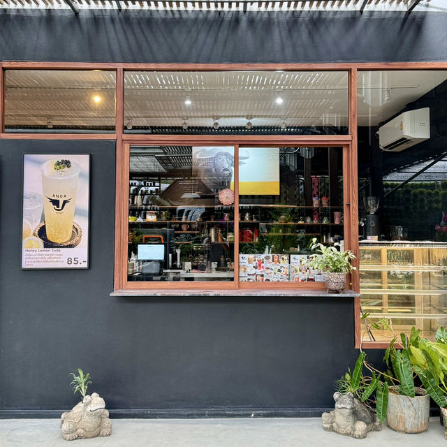 “กาแฟดี บรรยากาศโดน ใจละลายไปกับต้นไม้ 🌿☕”