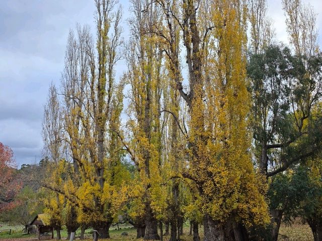 Awesome 11d 10n perth exploration