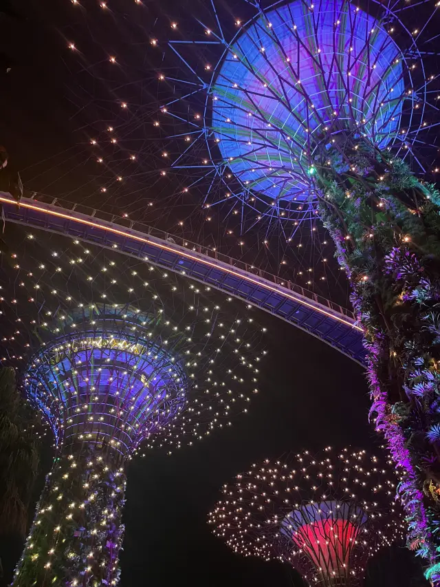 วันหนึ่งในสิงคโปร์: วันแห่งความระยิบระยับในเมืองที่ไม่เคยหลับ