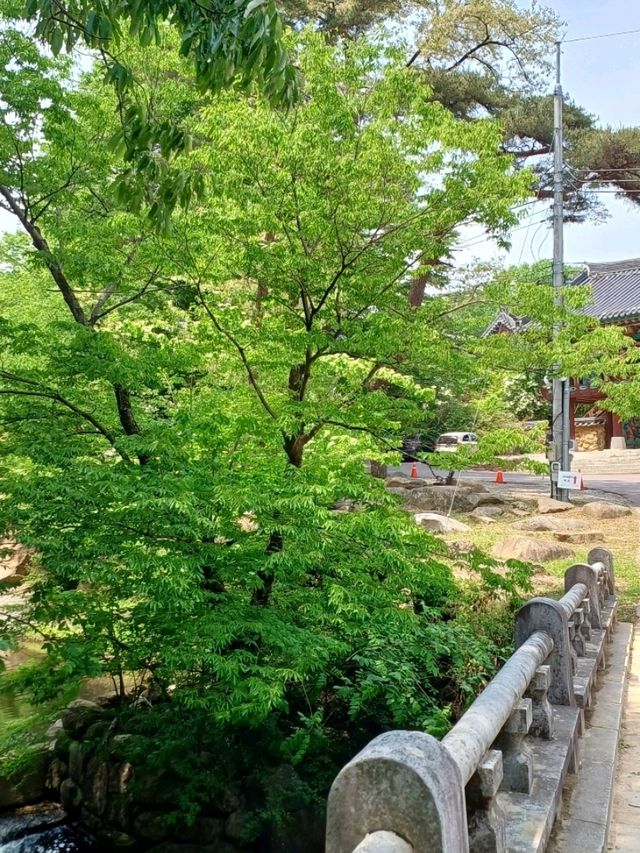 가을이면 더욱 아름다운 은해사의 풍경