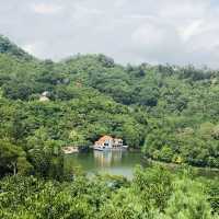 仙湖植物園端午行：尋古寺鐘聲·探萬株綠意