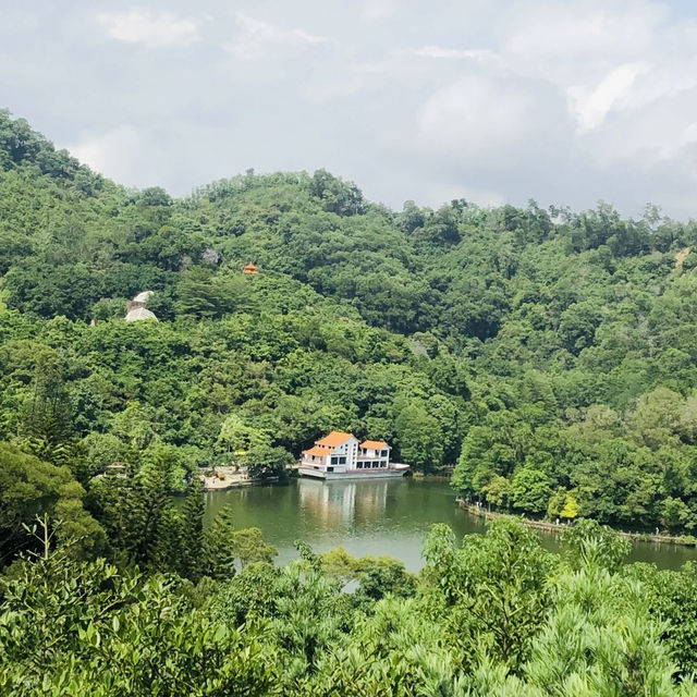 仙湖植物園端午行：尋古寺鐘聲·探萬株綠意