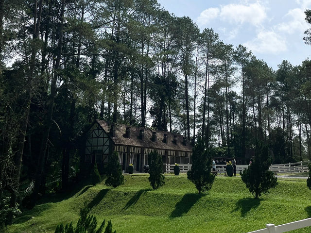 Who Said Fraser’s Hill Is Boring? 🌿