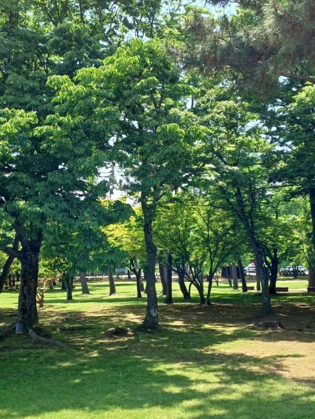 물빛 위에 춤추는 봄날, 동궁과 월지 산책