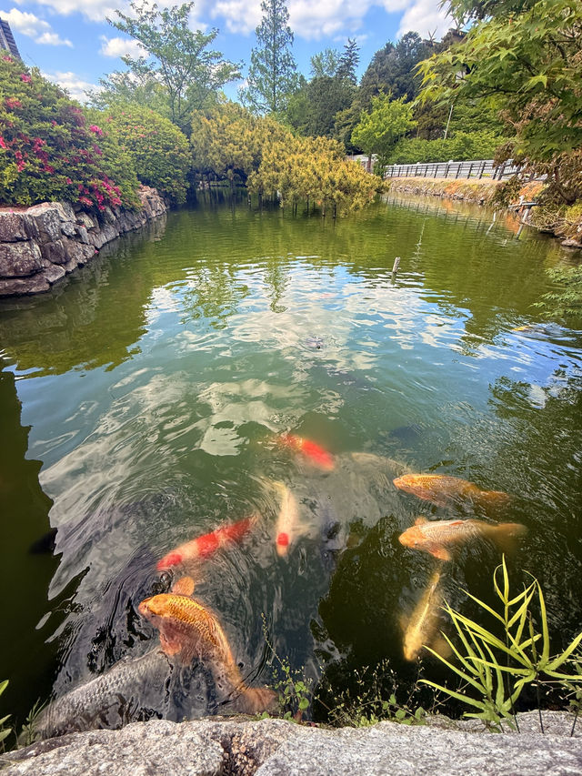 岡山｜浮在神池上的神社 探訪吉備國最古老的稻荷神社