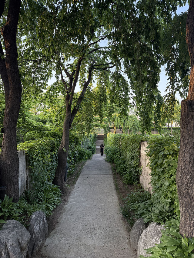 봄바랑 살랑살랑 불때 피크닉 떠나보세요🧡