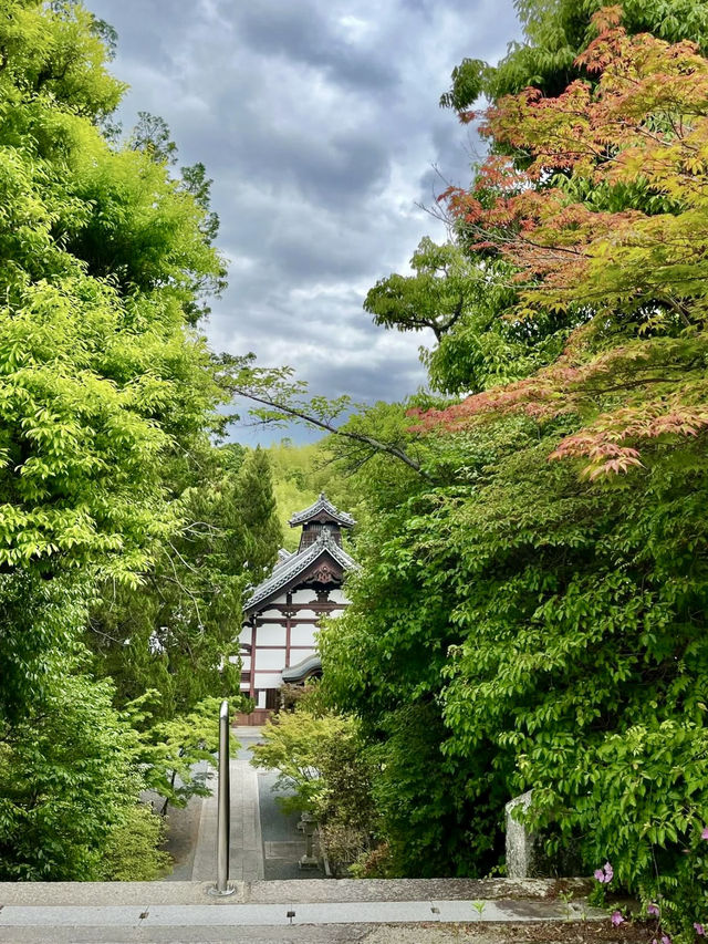 A Peaceful Day Strolling in Nagaokakyo