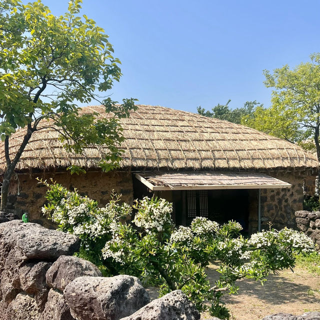 Cultural Fun Fact | Jeju Folk Village Edition 🌾🪨