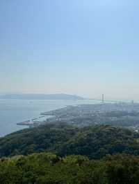 【須磨浦山上遊園で楽しむ藤の花と絶景🌸✨】