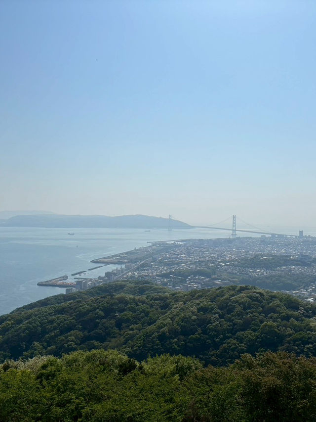 【須磨浦山上遊園で楽しむ藤の花と絶景🌸✨】