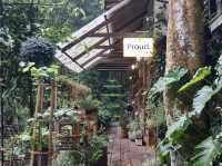  Escape to Mae Kampong: Nature & Chill Vibes Only! 