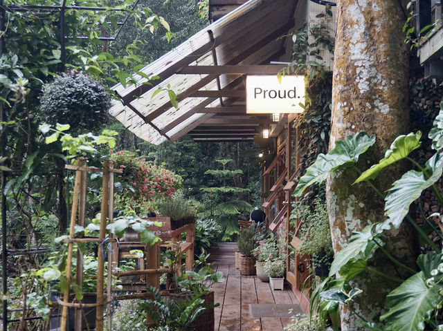  Escape to Mae Kampong: Nature & Chill Vibes Only! 