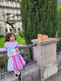 Beautiful Days in Interlaken City