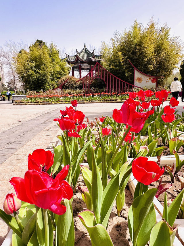 Hidden Heritage in the Heart of Zhengzhou – Discovering Hu Gong Shrine