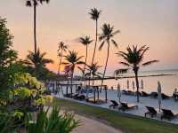 Napasai Hotel Samui: A Slice of Tropical Perfection with Private Beach and Golden Sunsets