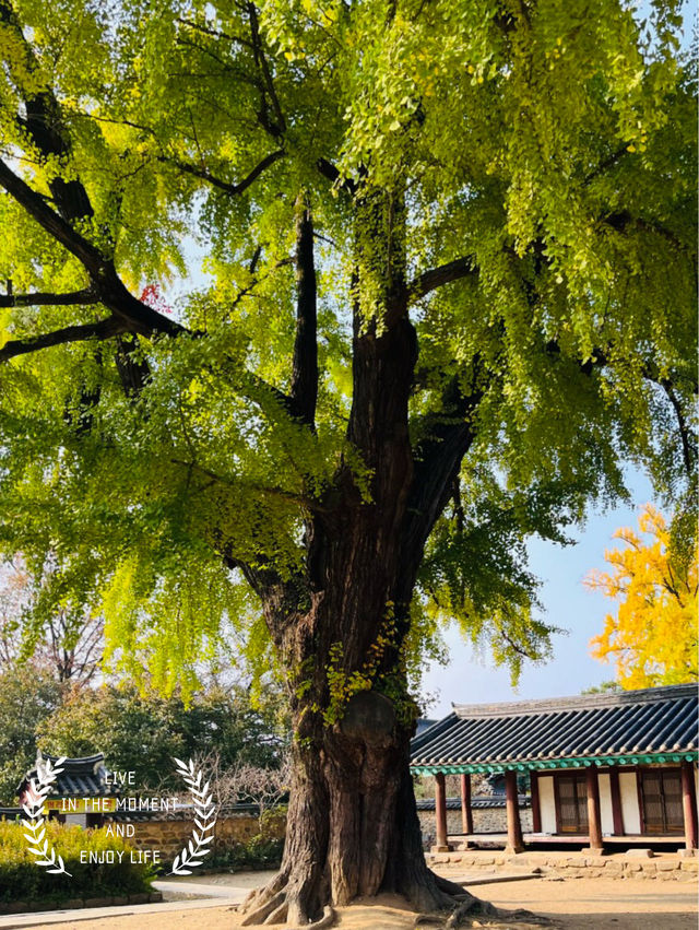 Journey to Learning and Tradition: A Review of Jeonju Hyanggyo