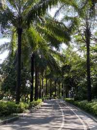 想不到深圳中山公園是這麼吸引的！！