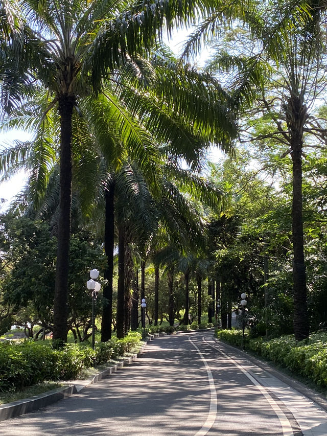 想不到深圳中山公園是這麼吸引的！！