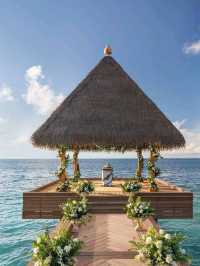🌴 Waldorf Astoria Maldives Ithaafushi – Paradise Redefined 🐚🌊