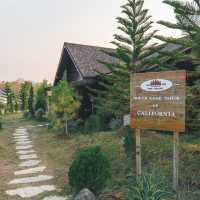 Pine village เชียงใหม่