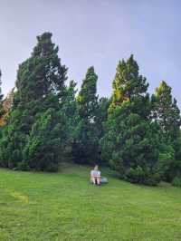 Royal park
