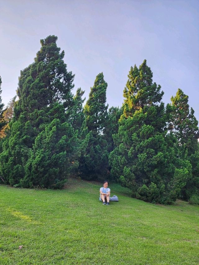 Royal park