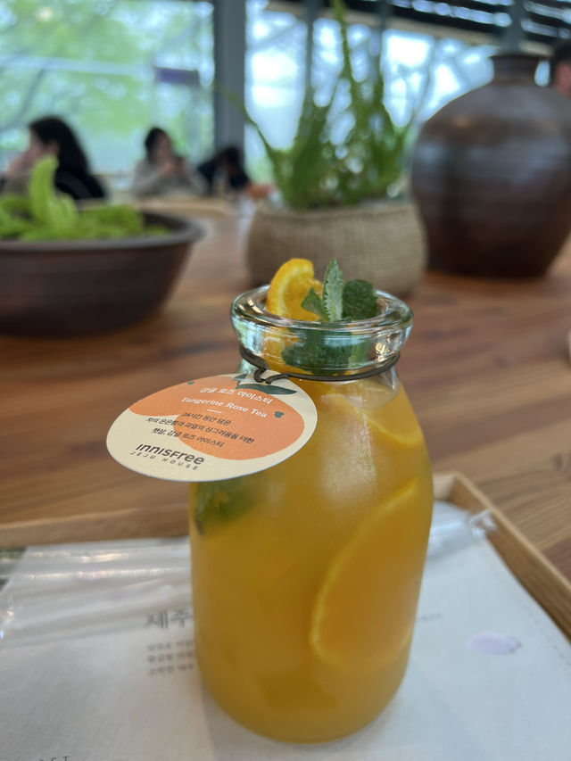 오설록 녹차밭과 녹차체험