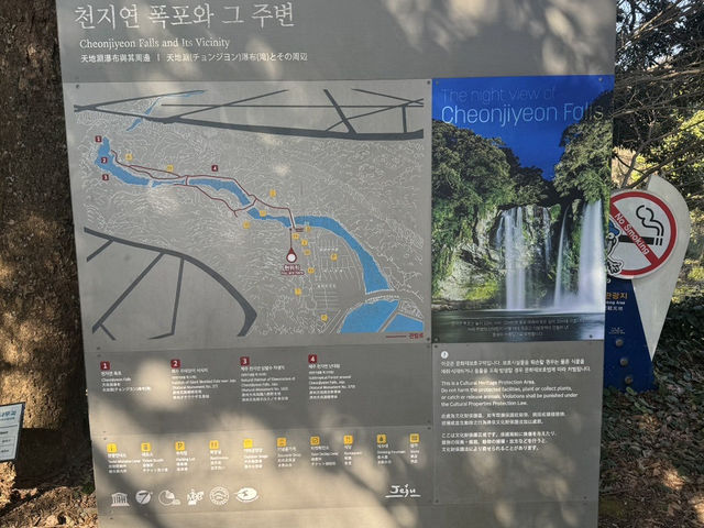 숲길 끝에서 만난 청량한 위로, 제주 천지연폭포