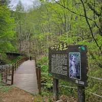 Quiet Trails Baekamsan
