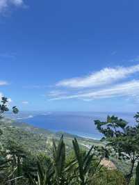 🌺【台東隱藏版花海】民宿老闆私推！5-6月限定「青山農場」繡球花仙境💐