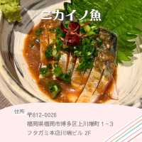 【福岡】海鮮グルメ攻略🐟✨