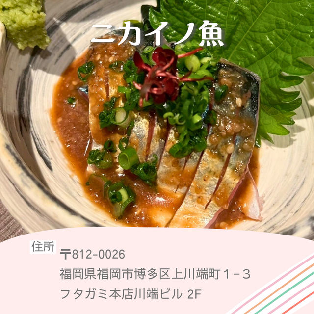 【福岡】海鮮グルメ攻略🐟✨
