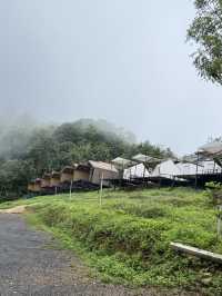 บ้านภูหมอก ยอดดอยม่อนแจ่ม