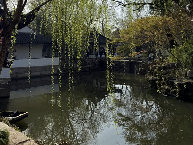蘇州｜漫步「拙政園」