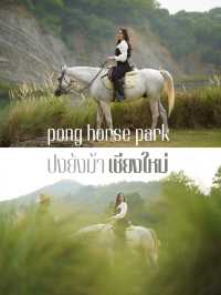 เที่ยวเชียงใหม่ ขี่ม้าเชียงใหม่ 🐎🏇