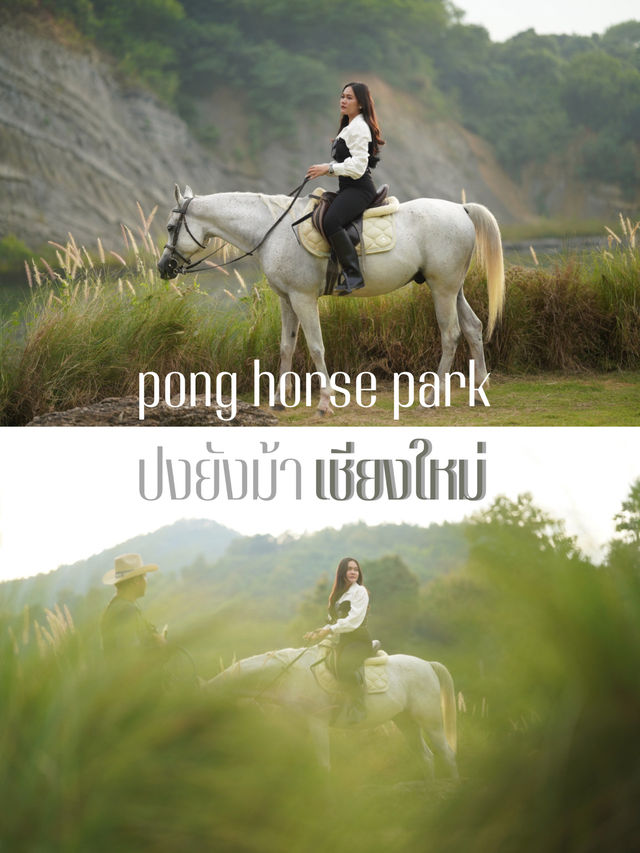 เที่ยวเชียงใหม่ ขี่ม้าเชียงใหม่ 🐎🏇