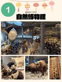🇨🇳超巨大！自然博物館へ