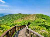 Hidden Forest Feels at Choamsan