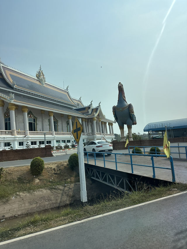 泰國大城包車一日遊 Sriayuthaya Lion Park  動物互動 