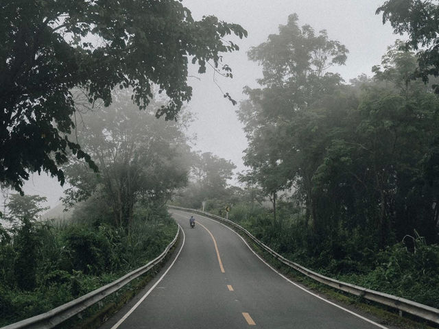 น่านหน้าฝนสวยหนักมาก 🌿