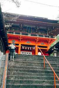 🚼松林中的祈願聖地：德川家康也來參拜的六所神社⛩️