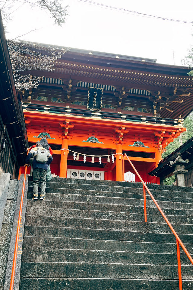 🚼松林中的祈願聖地：德川家康也來參拜的六所神社⛩️