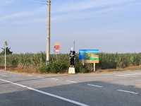 １泊2日自転車で巡る宮古島🏝️🚴