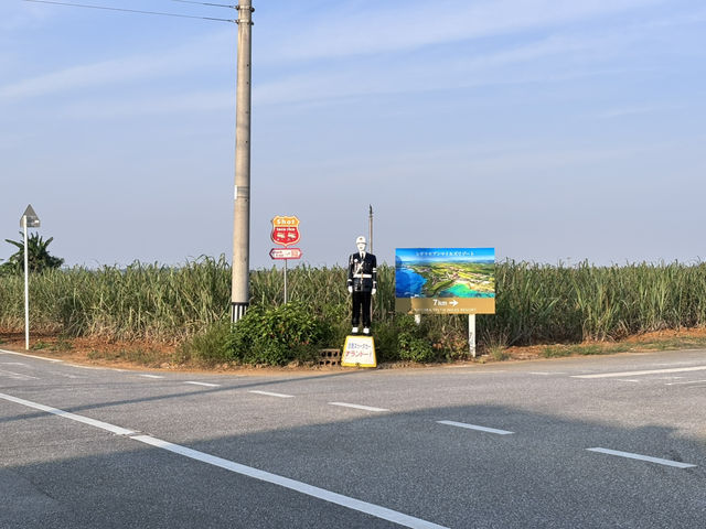 １泊2日自転車で巡る宮古島🏝️🚴