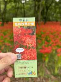 真紅の絨毯に包まれる「巾着田曼珠沙華公園」で、秋の感動旅