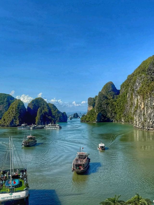 ⛵🌅 Sail into a Dream! | Halong Bay Cruise Adventure 🇻🇳✨