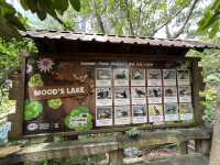Farm In The City KL – A Fun and Hands-On Experience for the Whole Family
