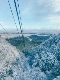 🚡空と海をつなぐ絶景旅「弥彦山ロープウェイ」で五感が満たされるひととき